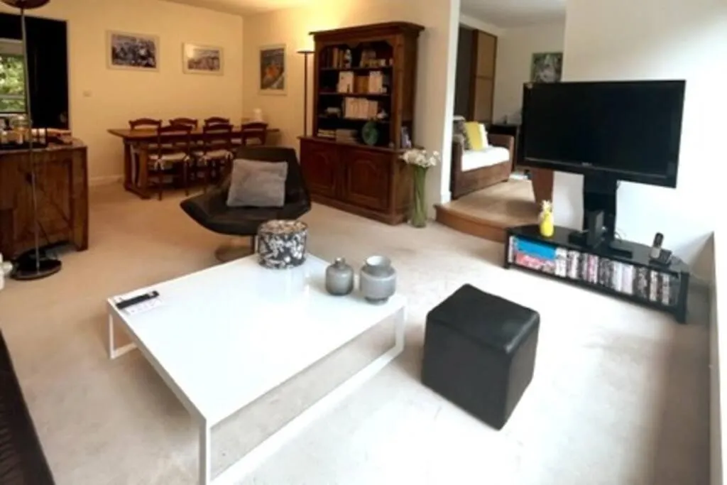 Superbe Appartement Parisien 15 Mcp France